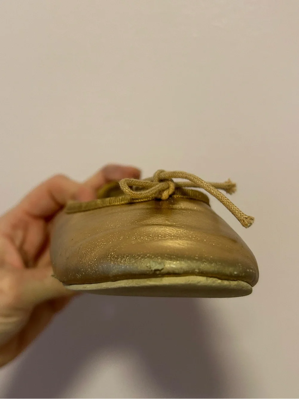 Noralee Rose Hold Ballet Flats Sz 11